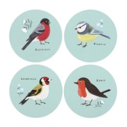 British Garden Birds...