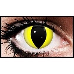Gelbe Katzenaugen-Kosmetikkontaktlinsen mit Tragedauer von 90 Tagen