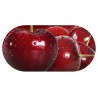 Funky Cherry Contact Lens soaking Case With Mirror