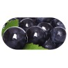 Funky Plum Contact Lens soaking Case With Mirror