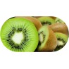 Funky Kiwi Contact Lens soaking Case With Mirror