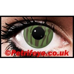Tarngrüne Kontaktlinsen
