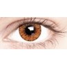 Honey Coloured Contact Lenses 30 Day