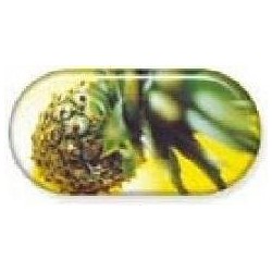 Pineapple Summer Vibes Contact Lens Soaking Case