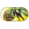 Pineapple Summer Vibes Contact Lens Soaking Case