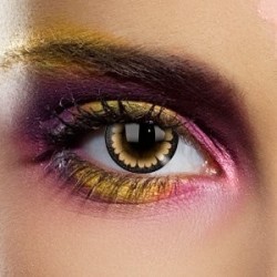 Edit's Big Eye Range Sexy Brown Contact Lenses