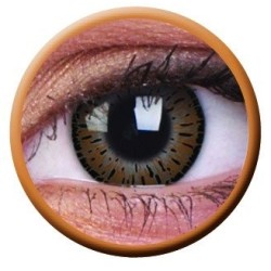 ColourVue Brown Elegance Coloured Contact Lenses