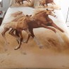 Galloping Horses Foal Stallion Pony Design Photo Quality King Bed Duvet Cover Bedding Set 