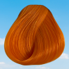 Apricot Directions Haarfärbemittel von La Riche