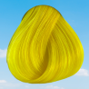 Bright Daffodil Directions Hair Dye By La Riche