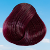 Dark Tulip Directions Hair Dye By La Riche