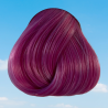 Lavender Directions Haarfärbemittel von La Riche
