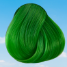 Tinte para el cabello Spring Green Directions de La Riche