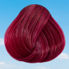 Tulip Directions Haarfärbemittel von La Riche