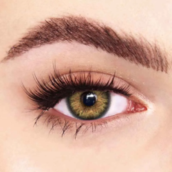 Farbige Kontaktlinsen FreshLady Venus Braun für das Jahr