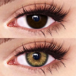 Farbige Kontaktlinsen FreshLady Venus Braun für das Jahr