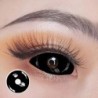 Lentes de contacto para ojos Freshlady Black Sclera Full 22 mm (anual)