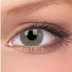 ColourVue Grey Basics Kontaktlinsen